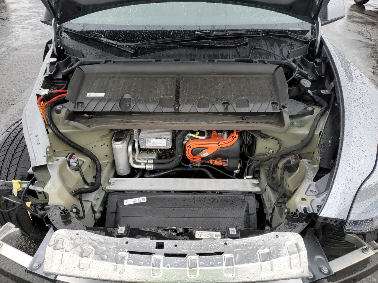 2024 Tesla Model Y VIN: 7SAYGDEDXRA319132 Lot: 81122455