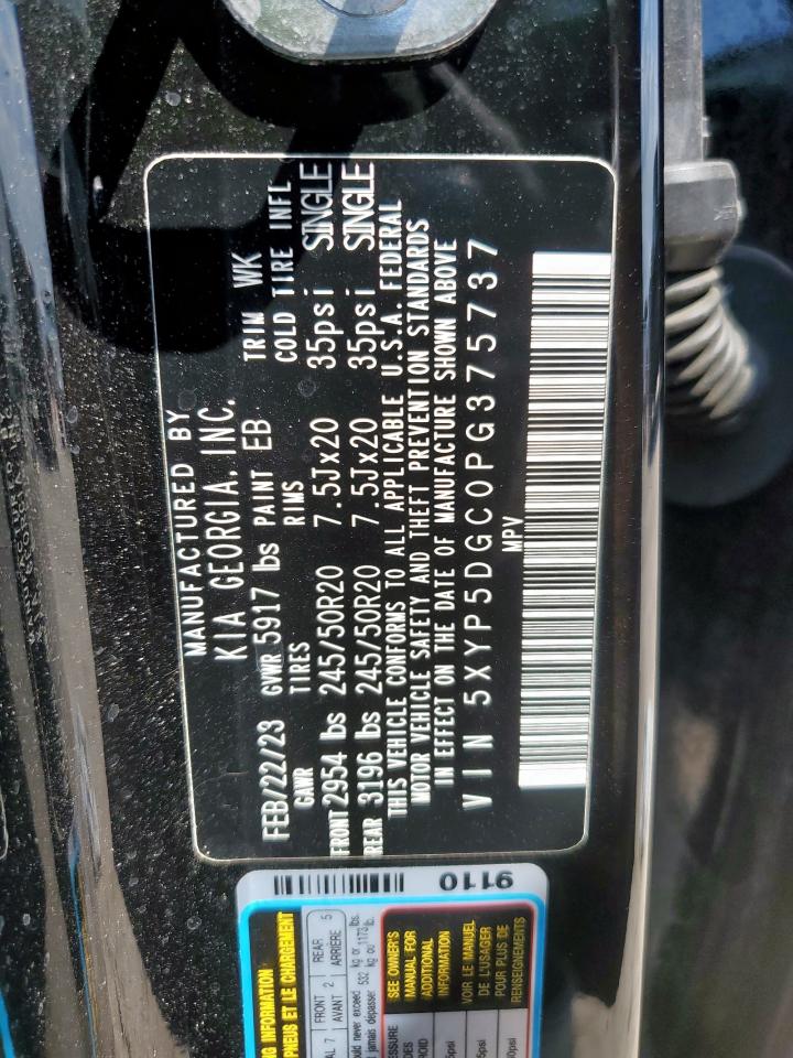 2023 Kia Telluride Sx VIN: 5XYP5DGC0PG375737 Lot: 80712535