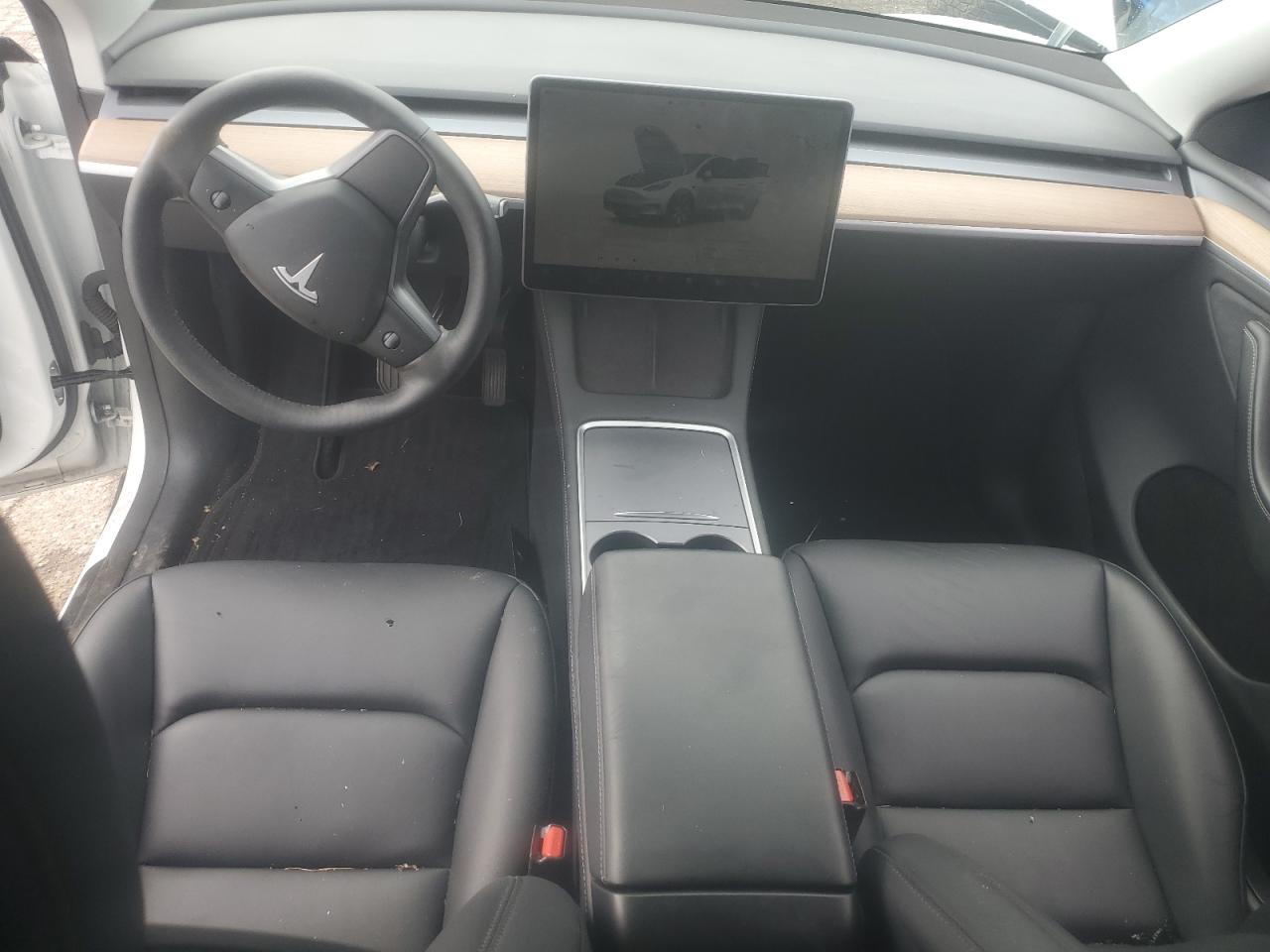 2024 Tesla Model Y VIN: 7SAYGDEE9RA288190 Lot: 81761415