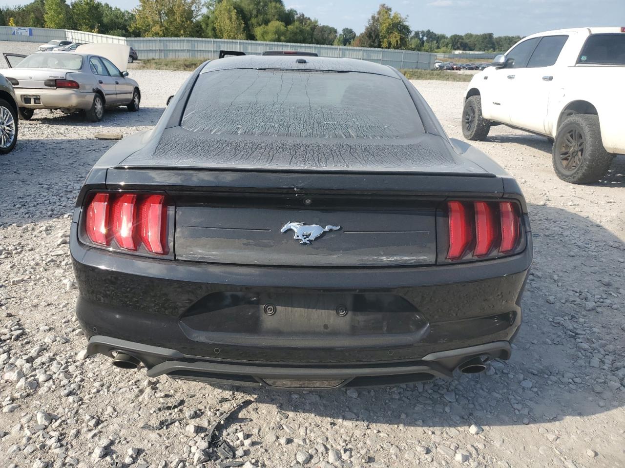 2019 Ford Mustang VIN: 1FA6P8TH9K5120638 Lot: 80217415