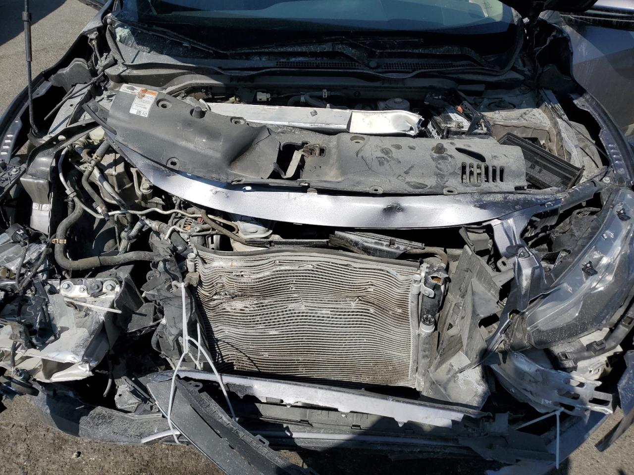 2019 Honda Civic Lx VIN: 19XFC2F64KE200737 Lot: 81130665