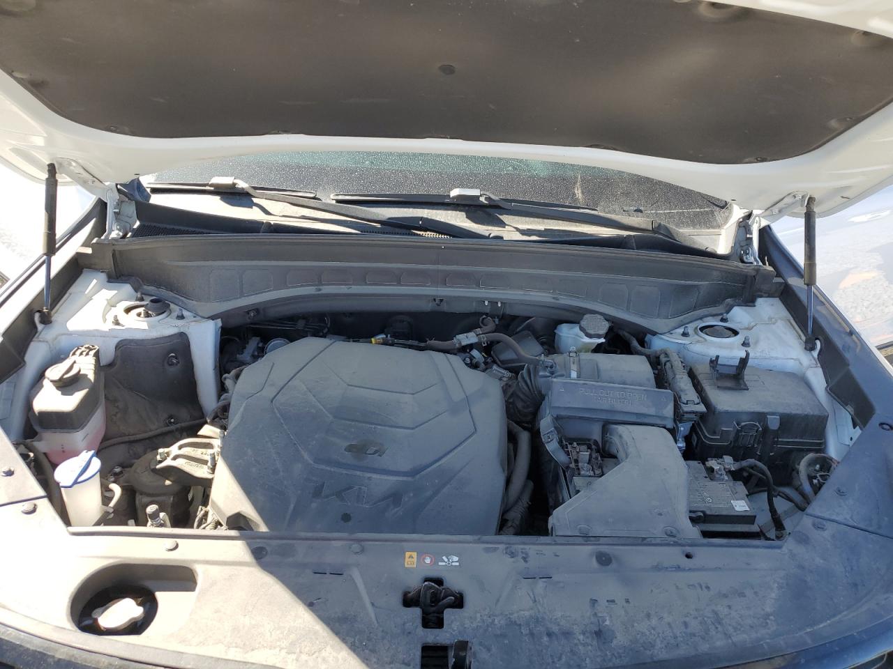 2022 Kia Telluride Ex VIN: 5XYP3DHC8NG275094 Lot: 83847515