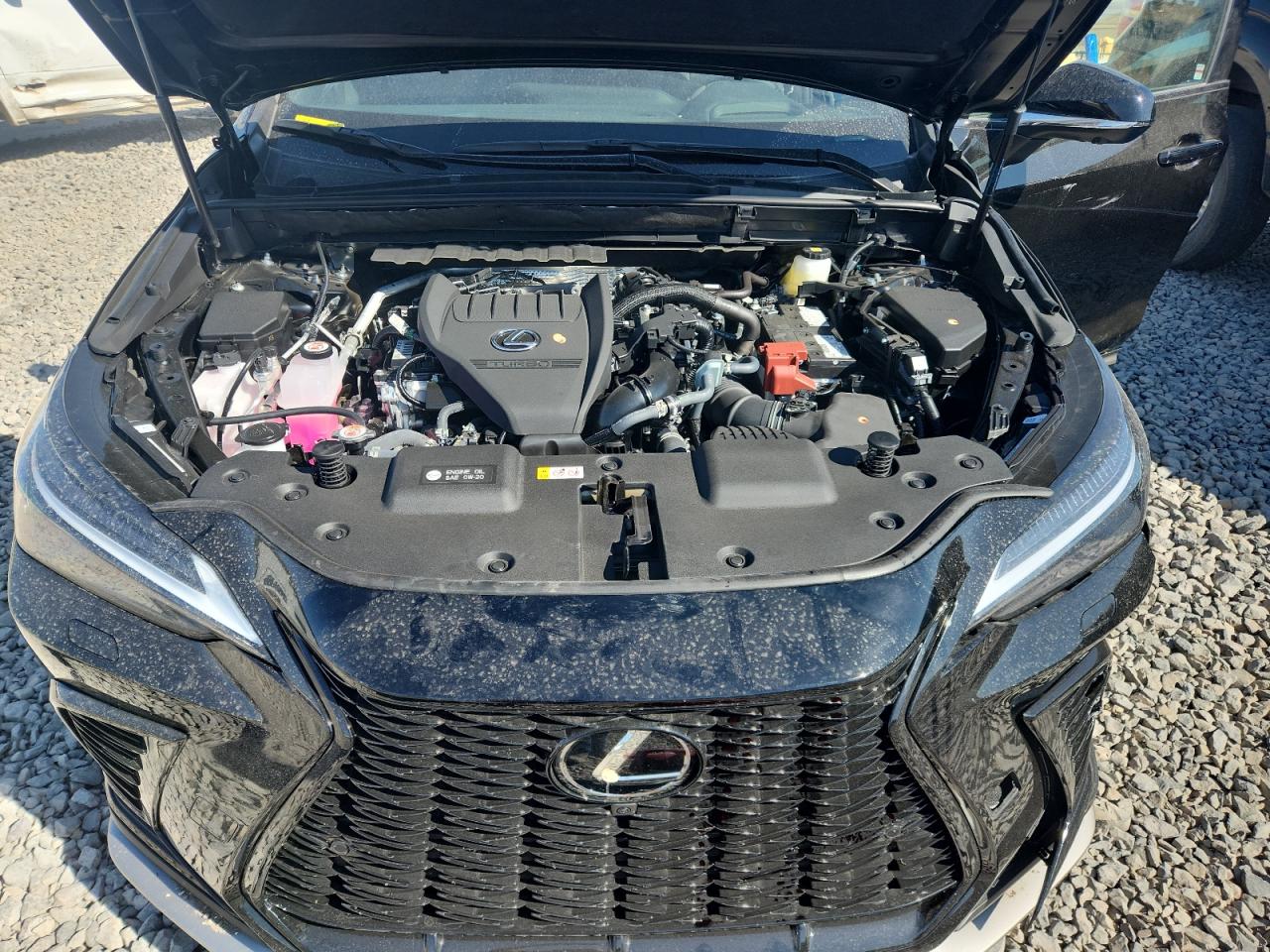 2025 Lexus Nx 350 Luxury VIN: 2T2KGCEZ9SC091013 Lot: 71410765