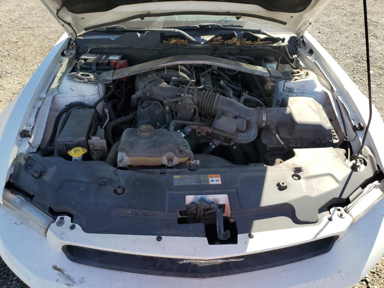 2012 Ford Mustang VIN: 1ZVBP8EM1C5263942 Lot: 81257845