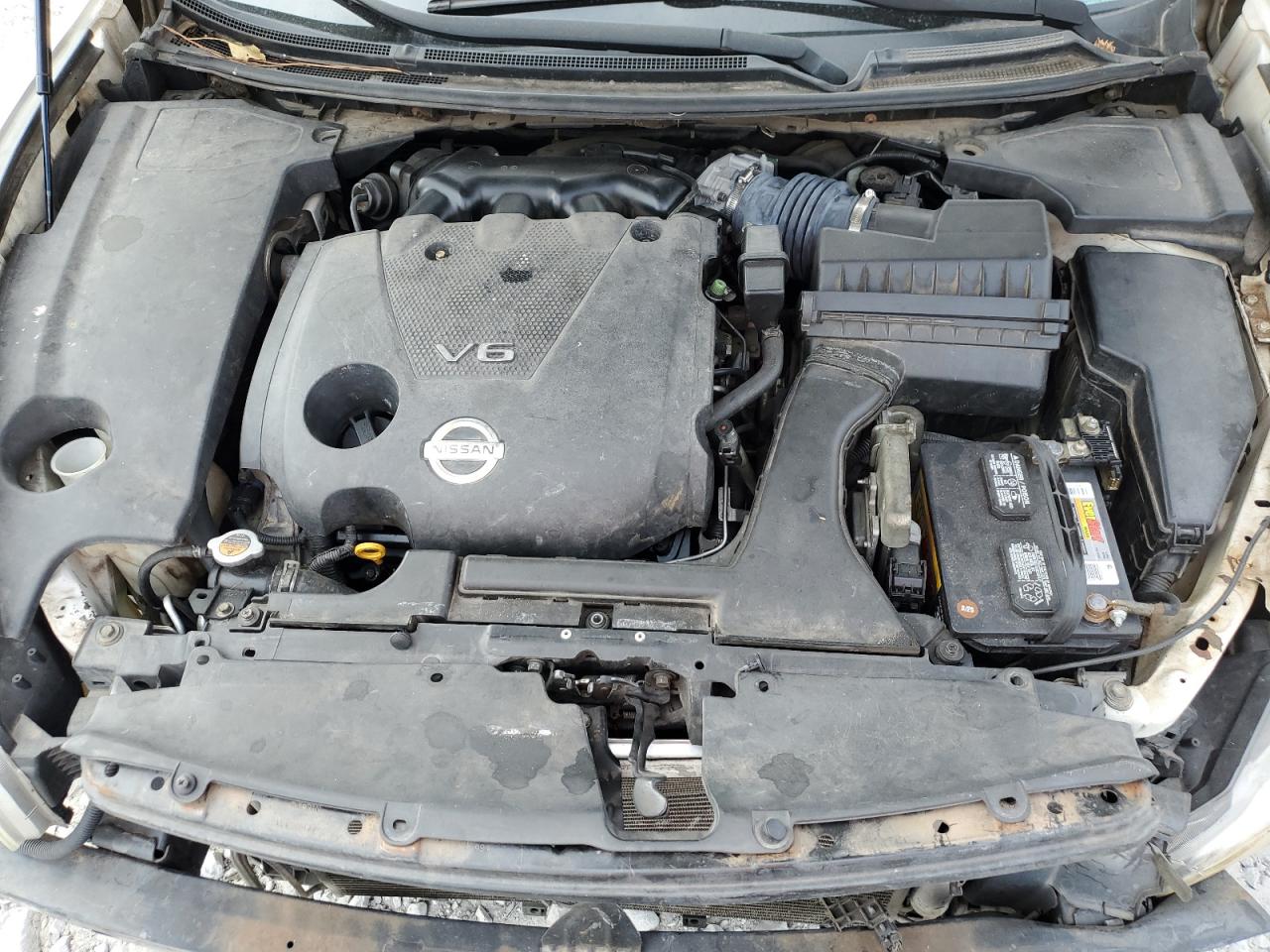 2009 Nissan Maxima S VIN: 1N4AA51E19C825247 Lot: 81885625