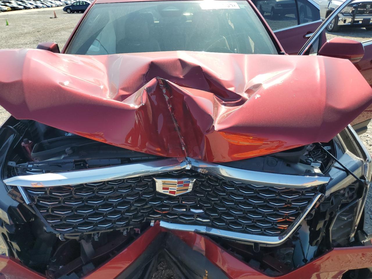 2024 Cadillac Xt4 Luxury VIN: 1GYAZAR46RF212492 Lot: 81321585