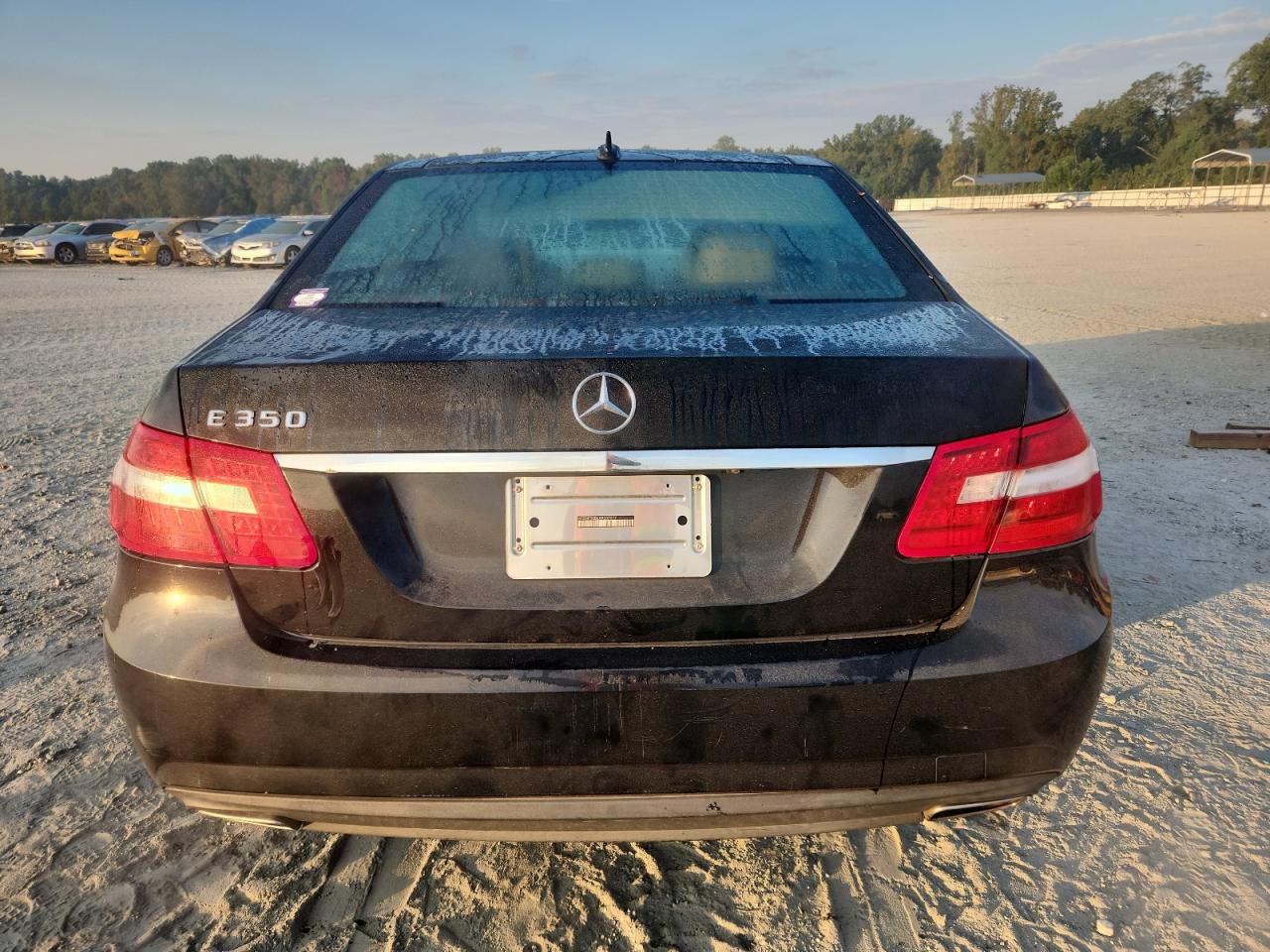 2010 Mercedes-Benz E 350 VIN: WDDHF5GB6AA207077 Lot: 71599335