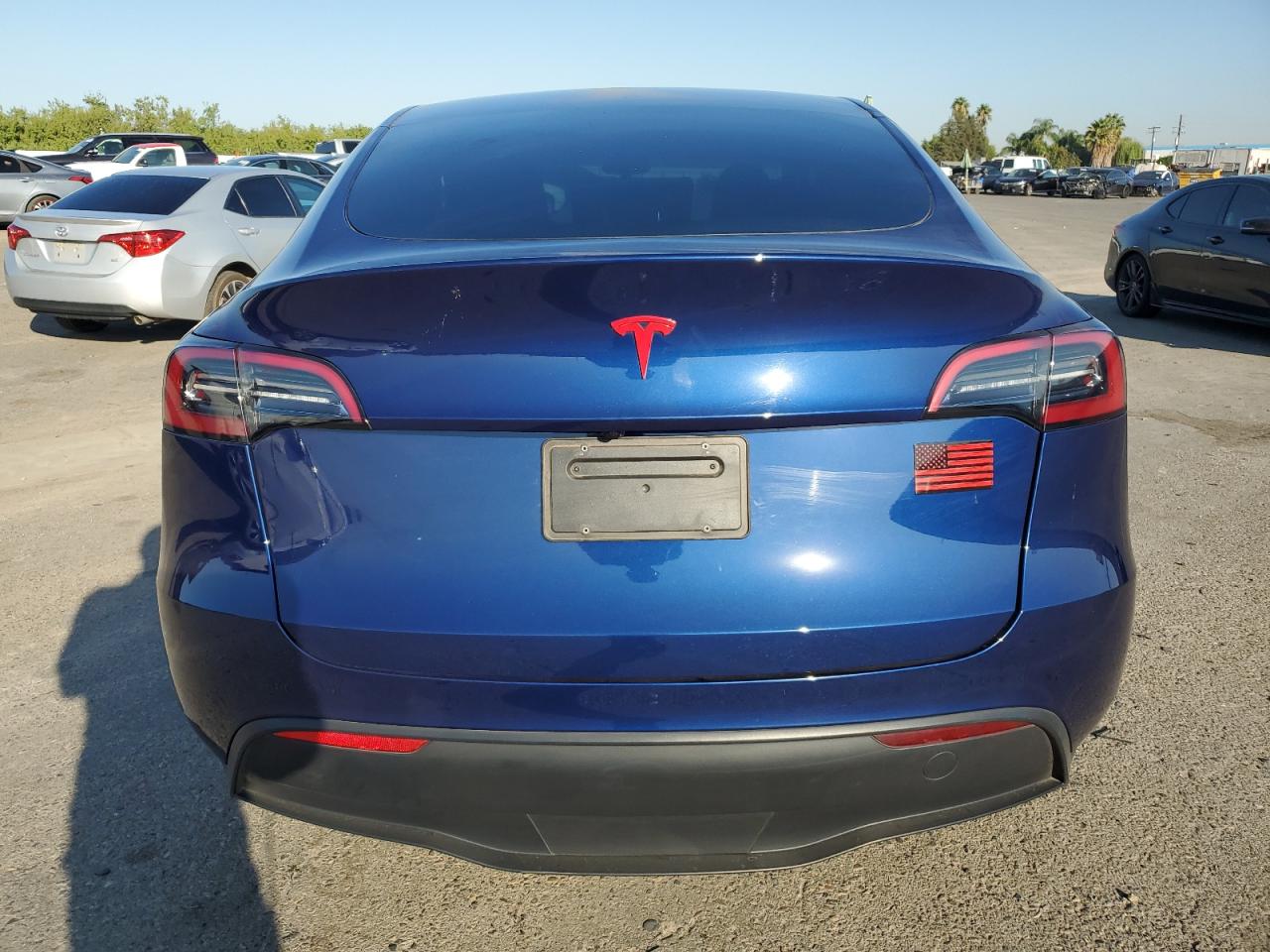 2023 Tesla Model Y VIN: 7SAYGDEE5PF862316 Lot: 81686415
