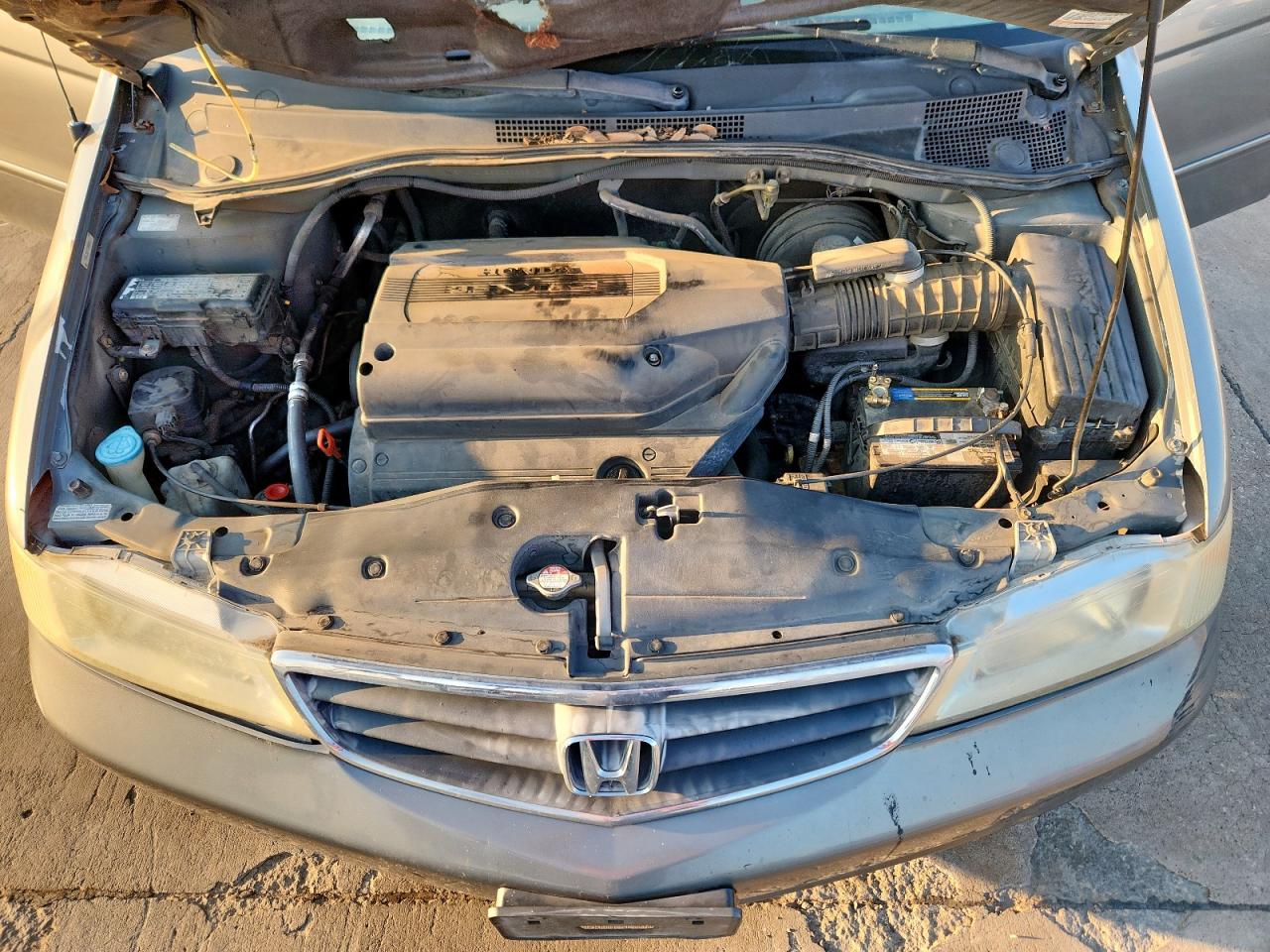 2002 Honda Odyssey Ex VIN: 5FNRL18622B002513 Lot: 71798025