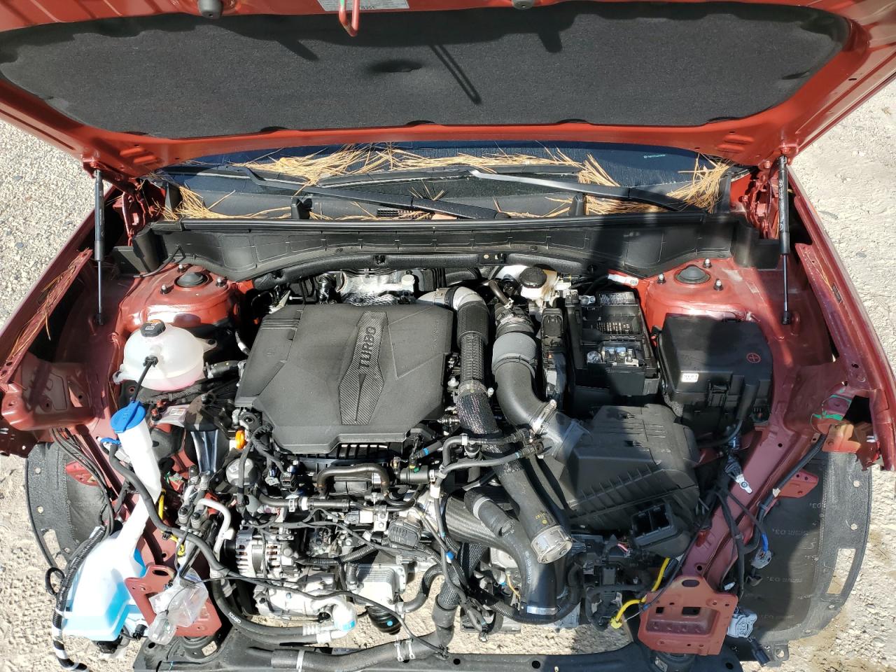 2024 Hyundai Santa Fe Calligraphy VIN: 5NMP5DGL6RH059459 Lot: 80664915