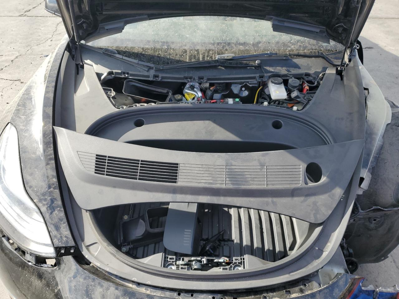 2023 Tesla Model 3 VIN: 5YJ3E1EA0PF697557 Lot: 71200185