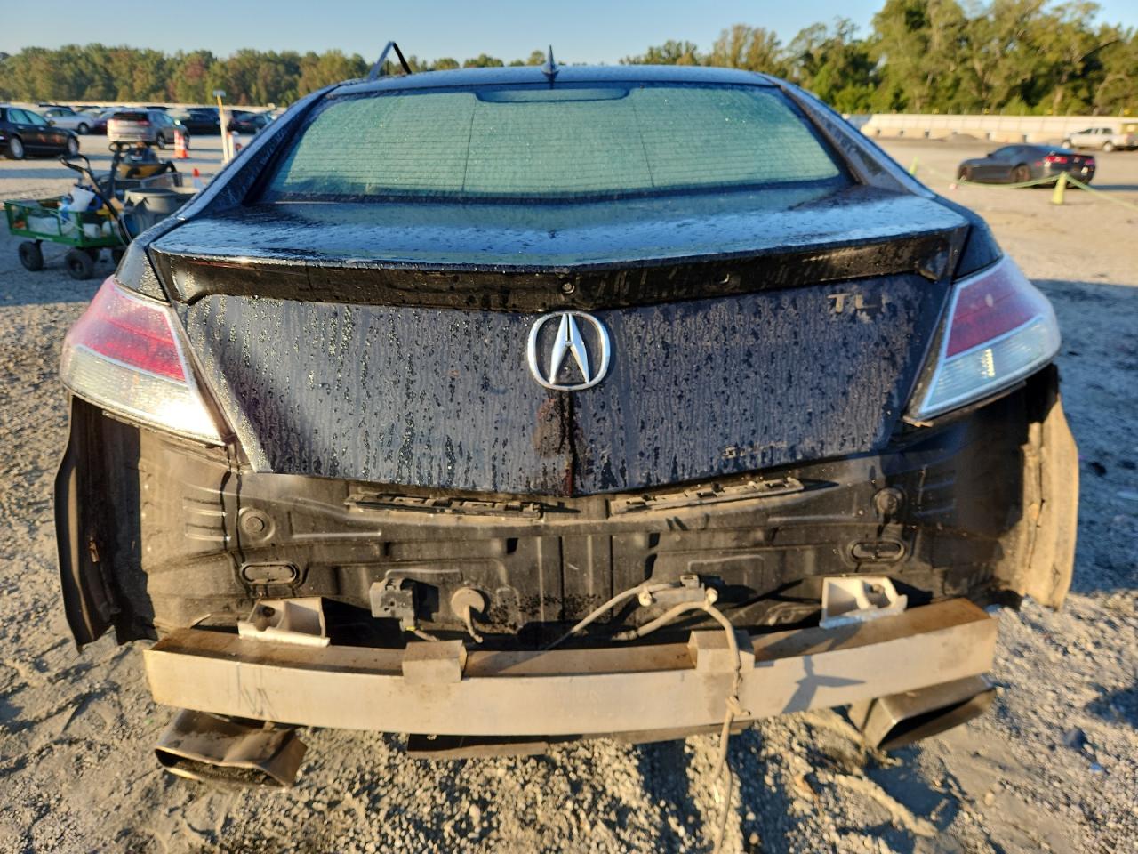 2013 Acura Tl Advance VIN: 19UUA9F79DA001494 Lot: 80378115