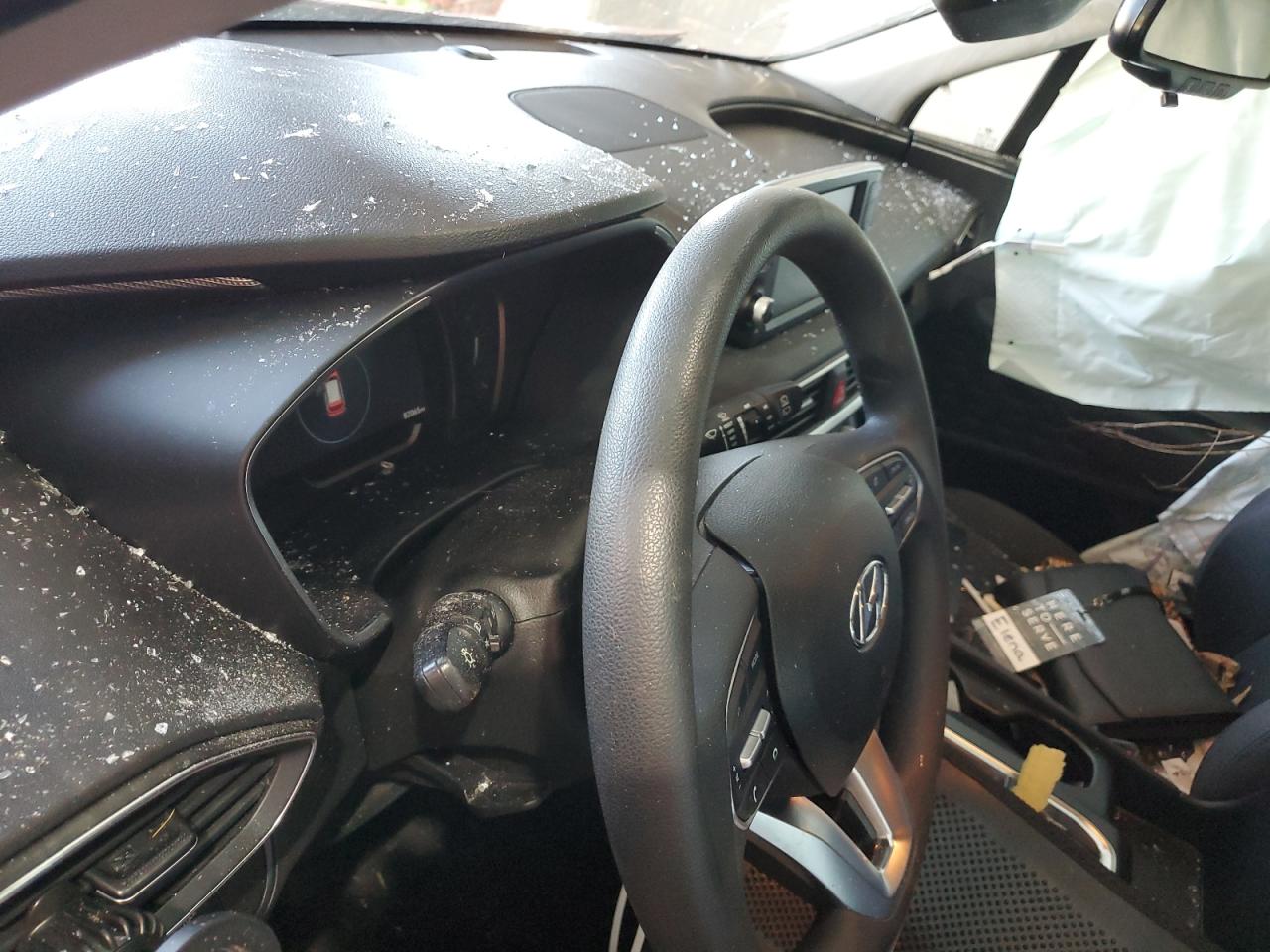 2020 Hyundai Santa Fe Sel VIN: 5NMS3CAD3LH203231 Lot: 84579965