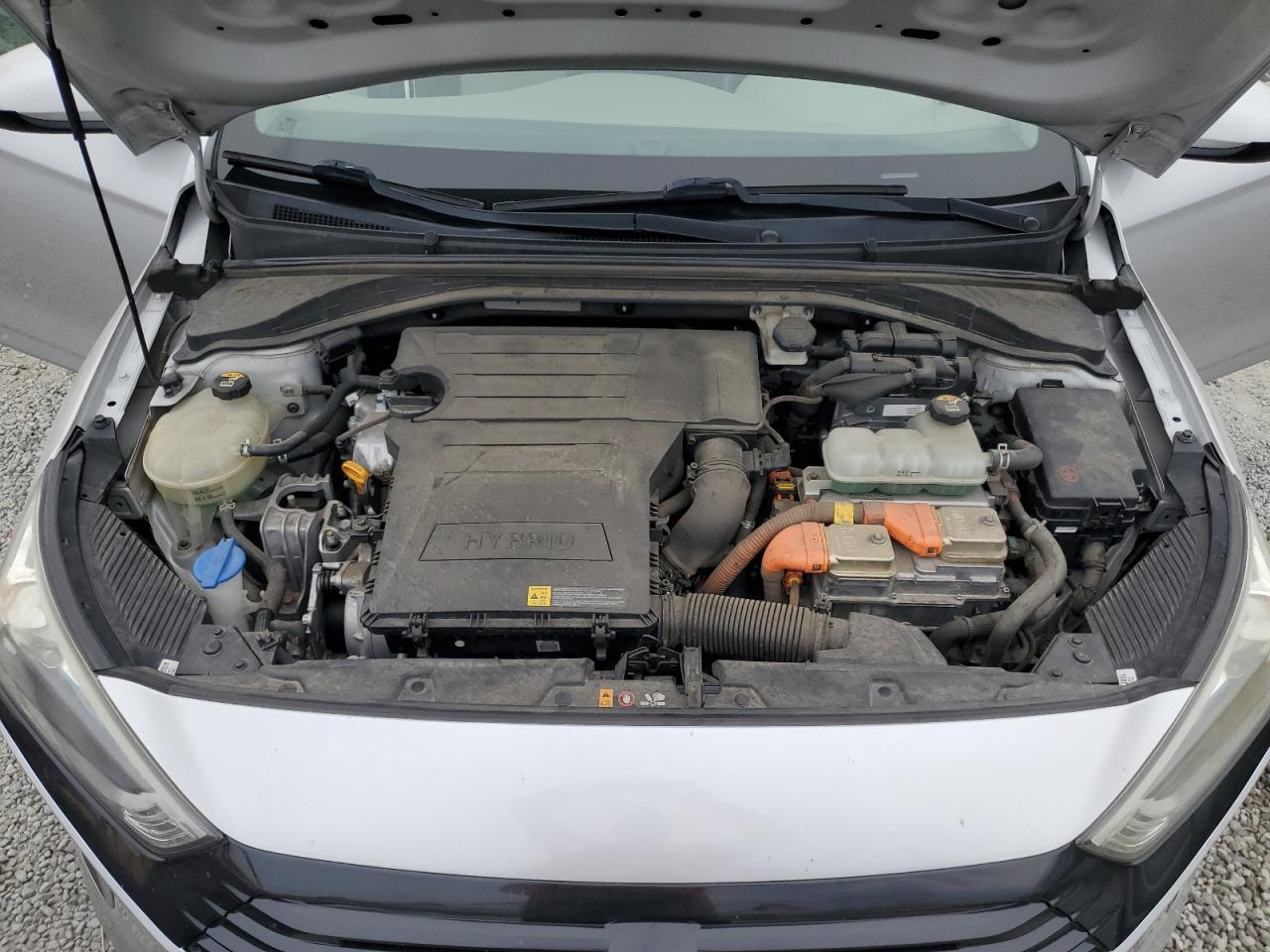 2019 Hyundai Ioniq Blue VIN: KMHC65LC1KU134506 Lot: 81238885