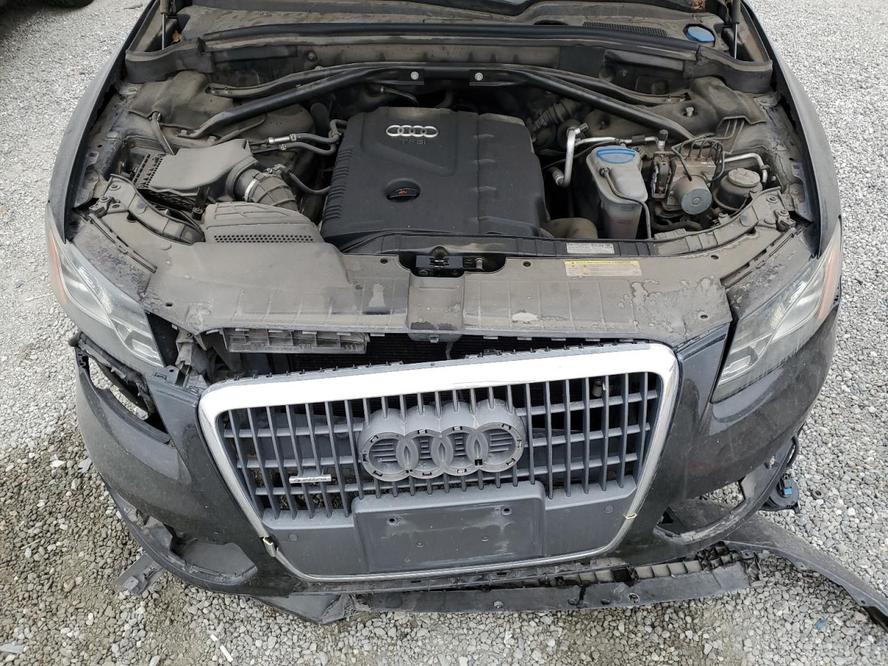 2012 Audi Q5 Premium Plus VIN: WA1LFAFP8CA029938 Lot: 67645265