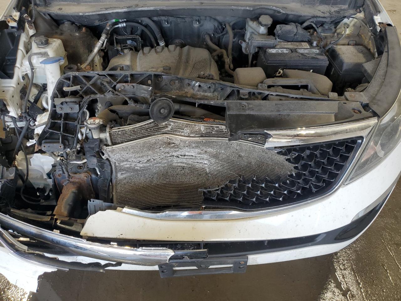 2015 Kia Sportage Lx VIN: KNDPBCAC4F7759463 Lot: 84404535