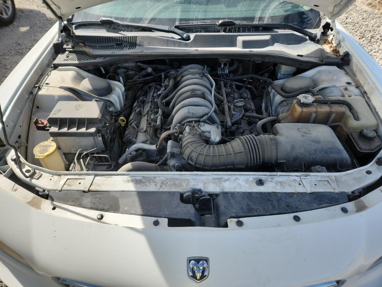 2006 Dodge Charger R/T VIN: 2B3KA53HX6H302910 Lot: 81160565