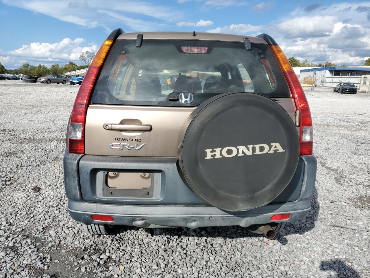 2004 Honda Cr-V Lx VIN: JHLRD68484C006982 Lot: 84273835