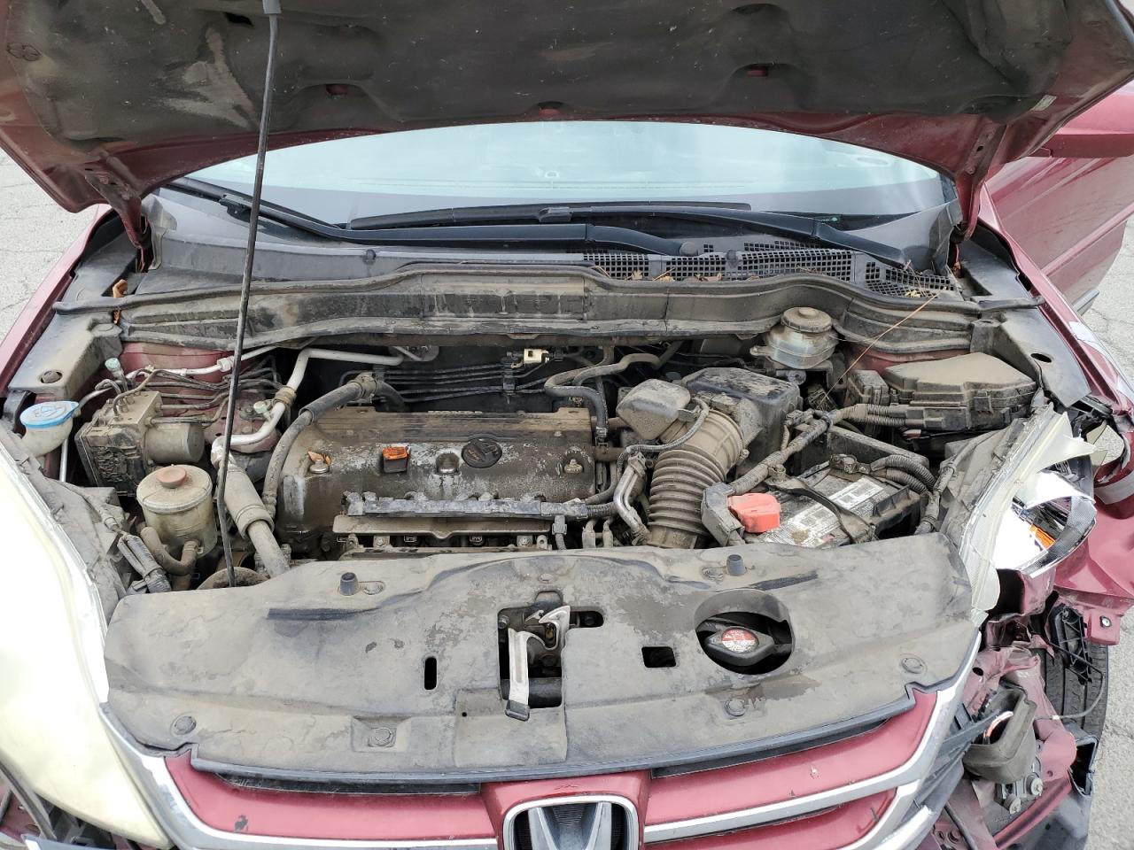 2010 Honda Cr-V Exl VIN: 5J6RE3H72AL010910 Lot: 81869575