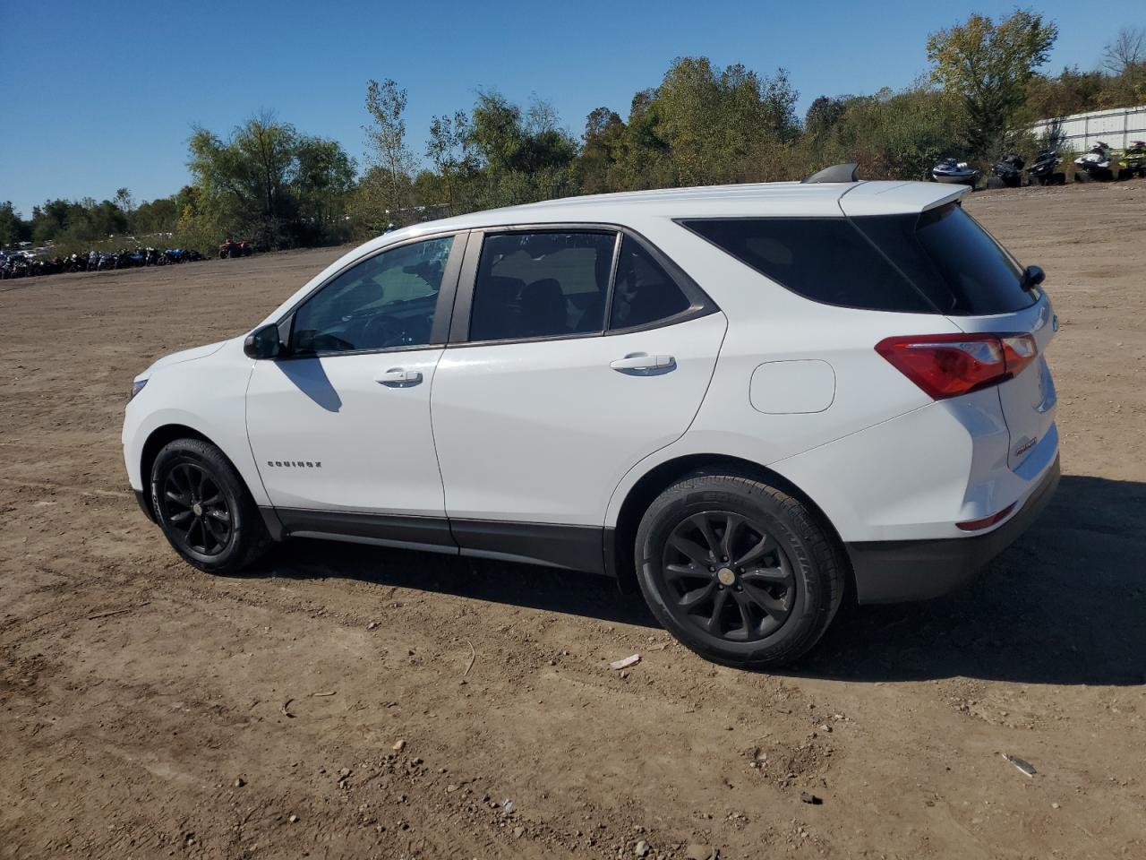 2020 Chevrolet Equinox Ls VIN: 2GNAXHEV1L6124896 Lot: 81932425