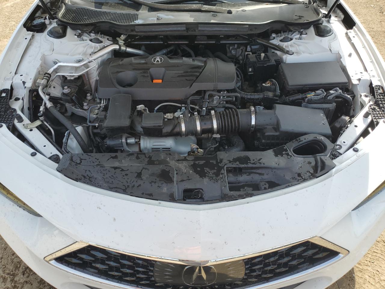 2021 Acura Tlx Technology VIN: 19UUB6F41MA003144 Lot: 80102665