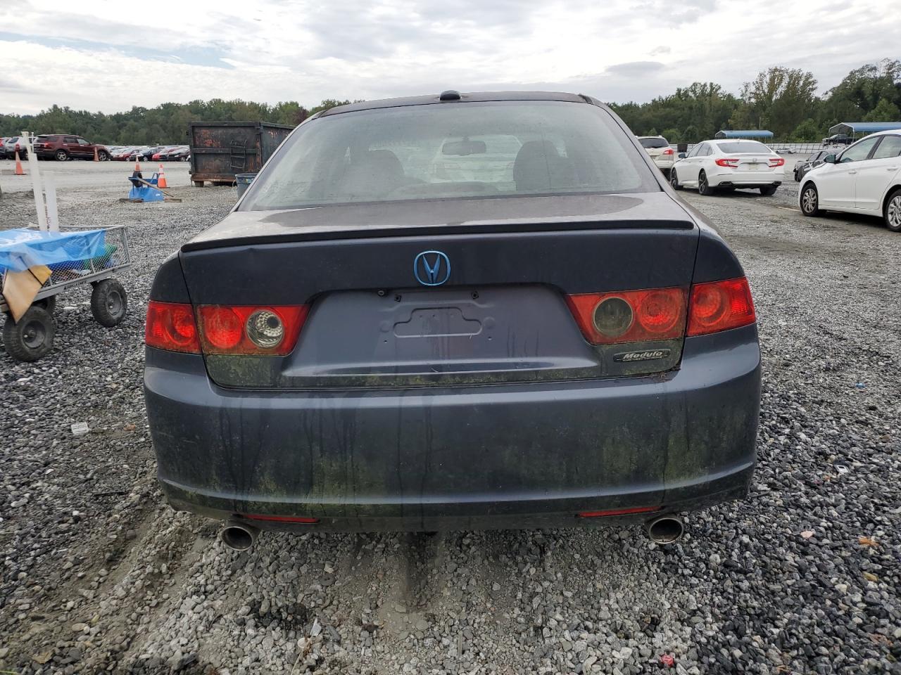 2008 Acura Tsx VIN: JH4CL96998C018777 Lot: 81771255