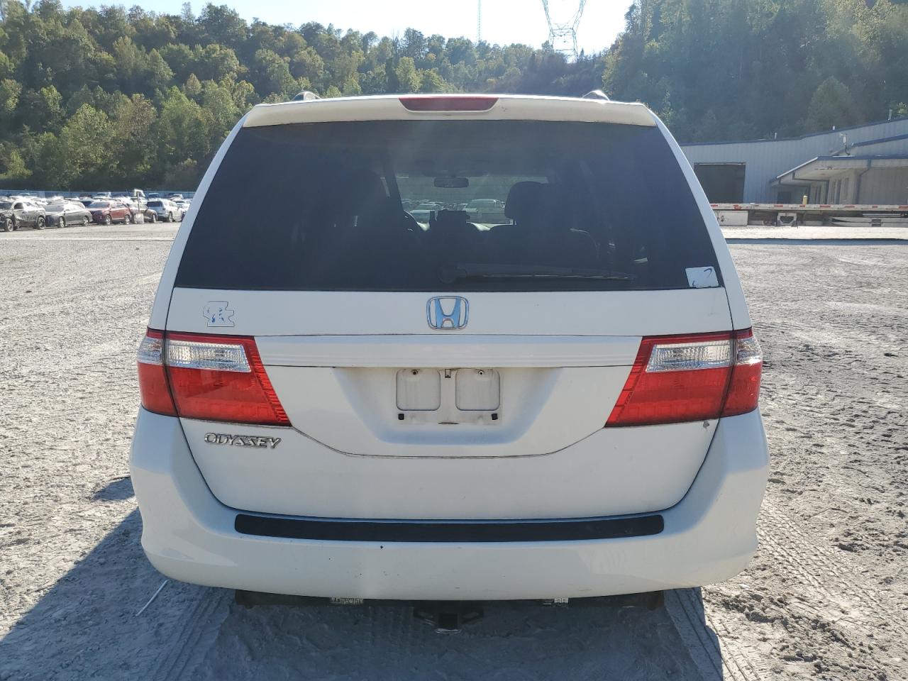 2007 Honda Odyssey Ex VIN: 5FNRL38467B141481 Lot: 81565915