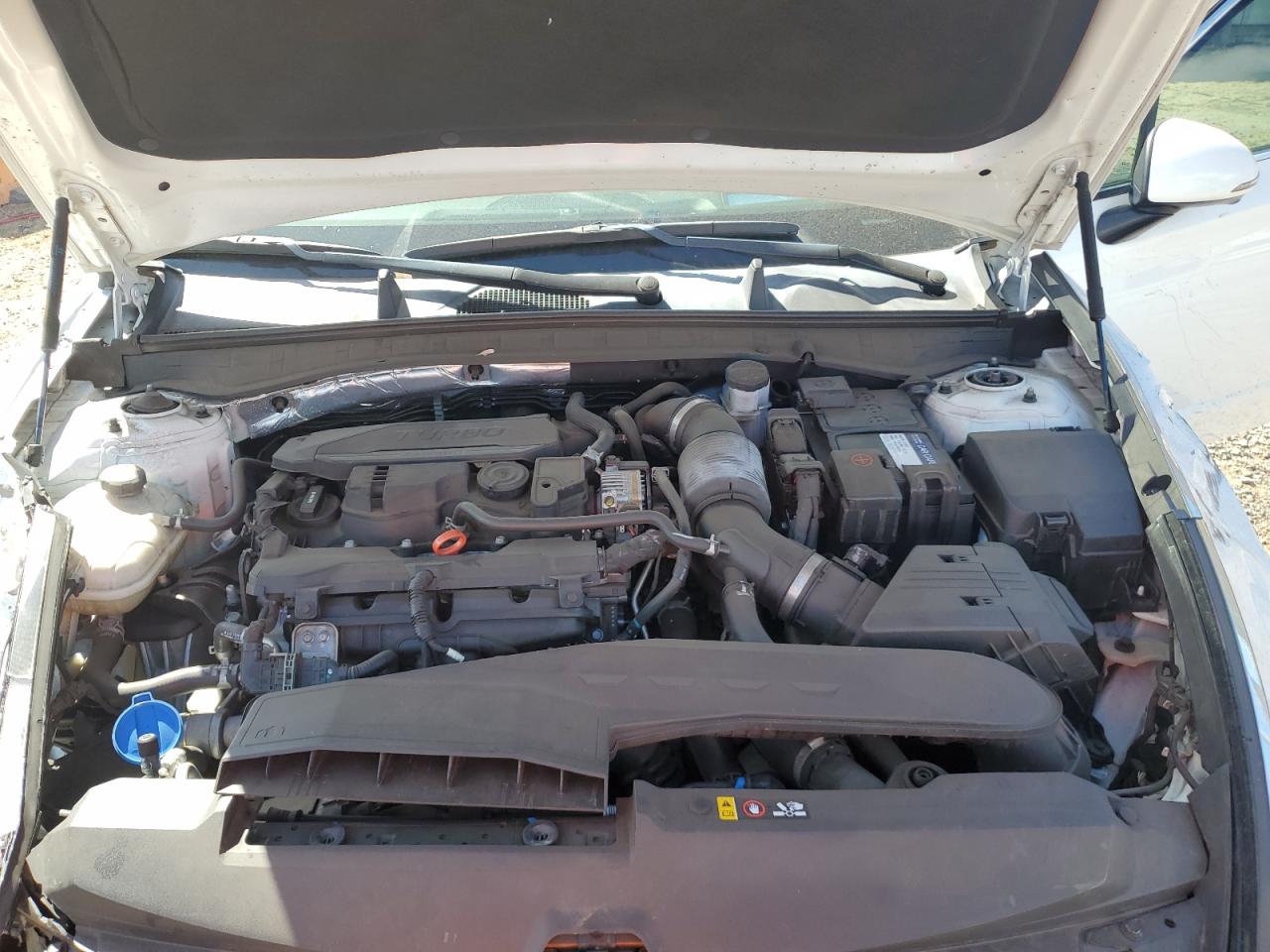 2020 Hyundai Sonata Limited VIN: 5NPEH4J27LH016578 Lot: 81814755