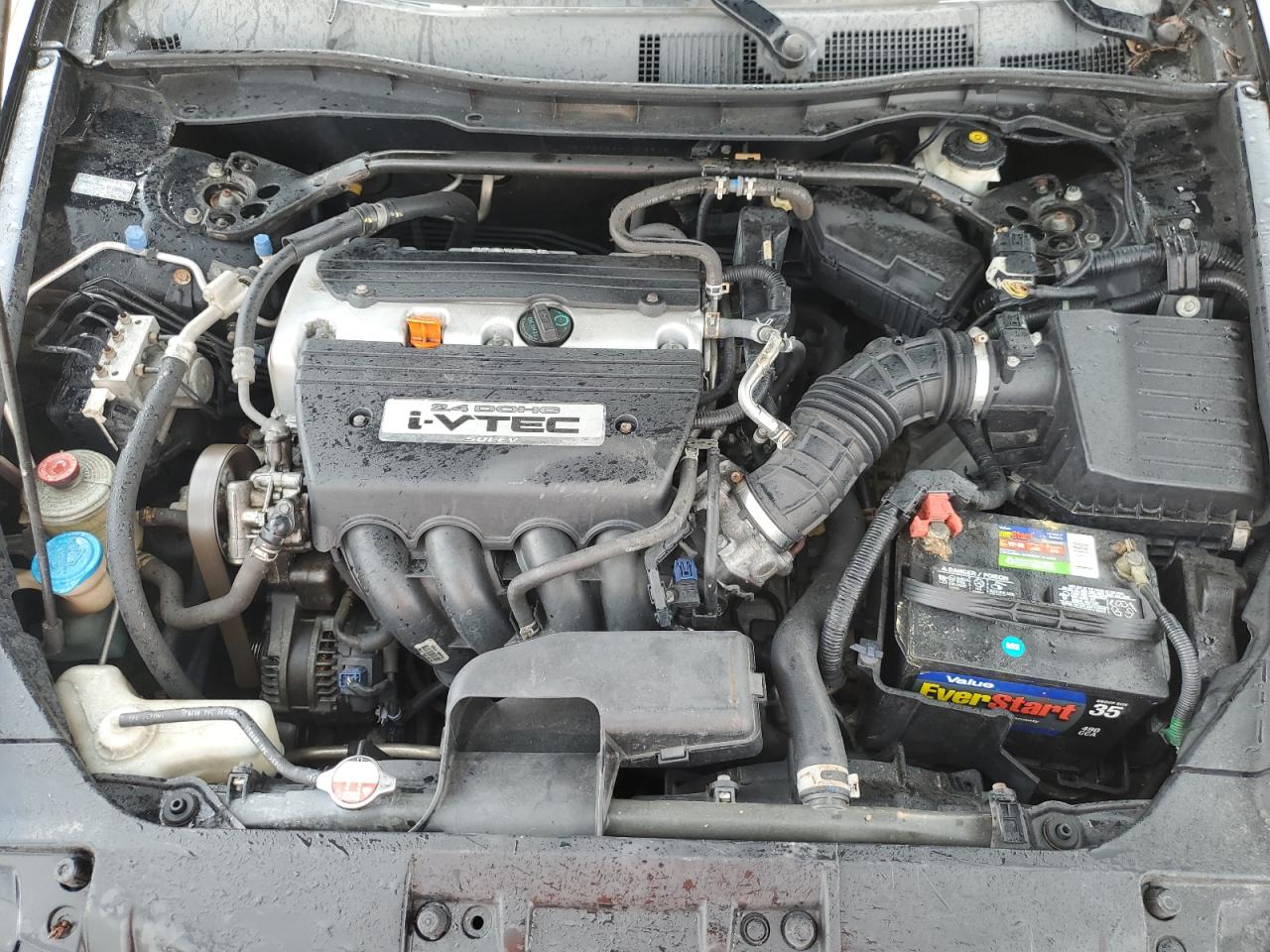 2009 Honda Accord Exl VIN: 1HGCP26899A013646 Lot: 72092795