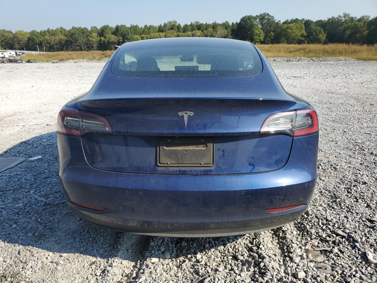 2019 Tesla Model 3 VIN: 5YJ3E1EA9KF326289 Lot: 81006275
