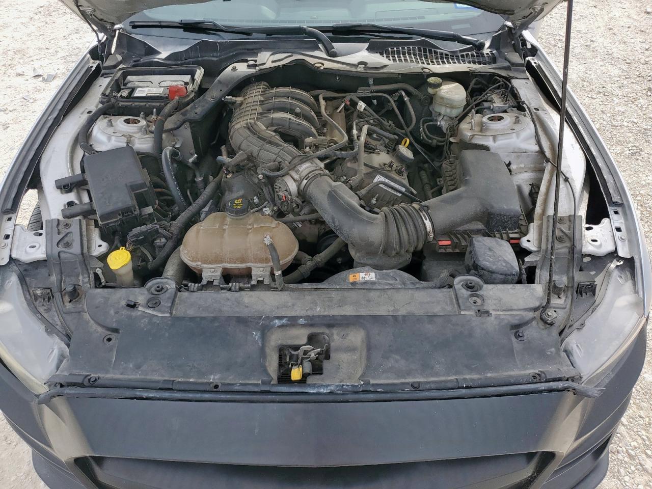 2016 Ford Mustang VIN: 1FA6P8AM1G5241736 Lot: 81918955