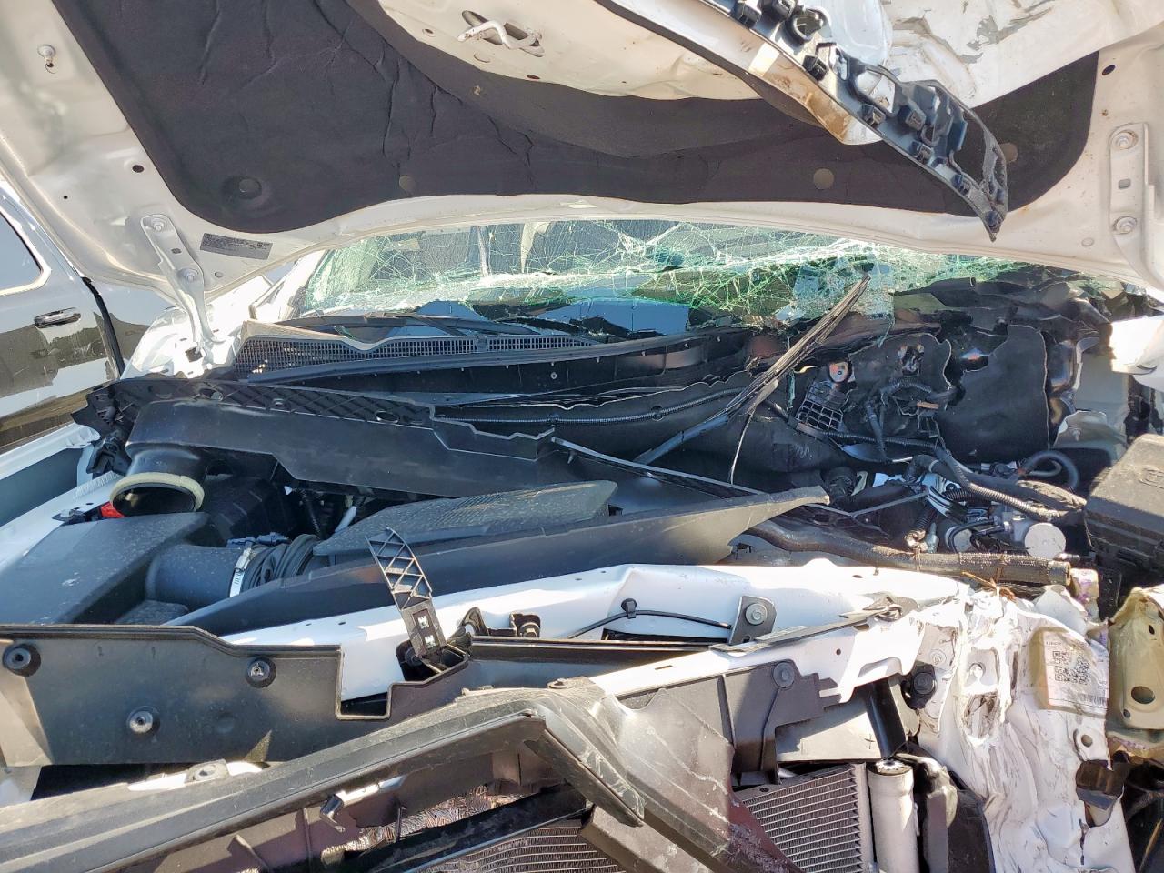 2025 GMC Sierra C1500 VIN: 1GT0HLE70SF196702 Lot: 80223295