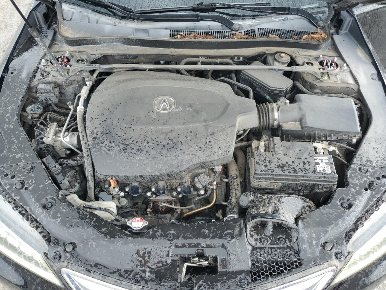 2015 Acura Tlx Tech VIN: 19UUB2F58FA017000 Lot: 71263585