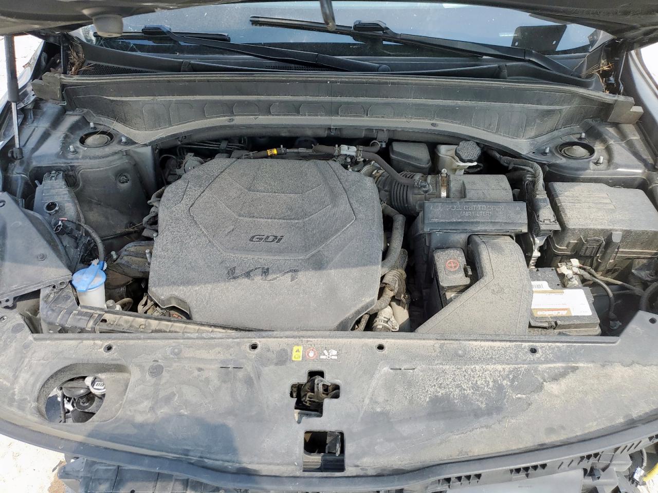 2022 Kia Telluride Sx VIN: 5XYP5DHC1NG254310 Lot: 71924235