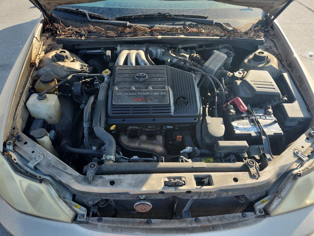 2001 Toyota Avalon Xl VIN: 4T1BF28B61U169065 Lot: 70657585