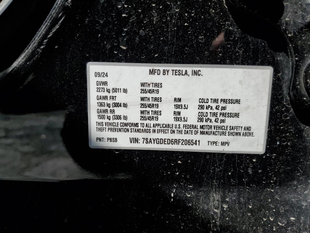 2024 Tesla Model Y VIN: 7SAYGDED6RF206541 Lot: 81378765