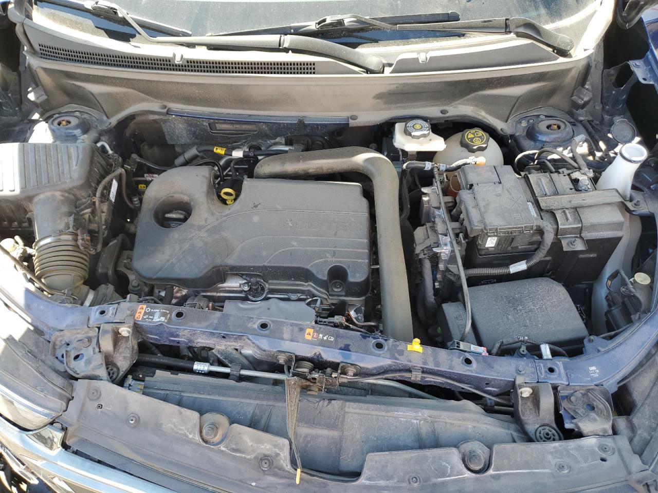 2023 Chevrolet Equinox Ls VIN: 3GNAXHEG3PL184648 Lot: 81696465