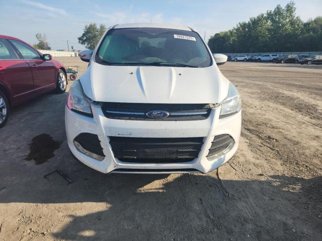  FORD ESCAPE 2016 Белы