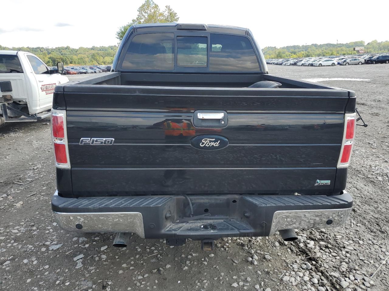 2010 Ford F150 Supercrew VIN: 1FTFW1EV4AKA74465 Lot: 82052675