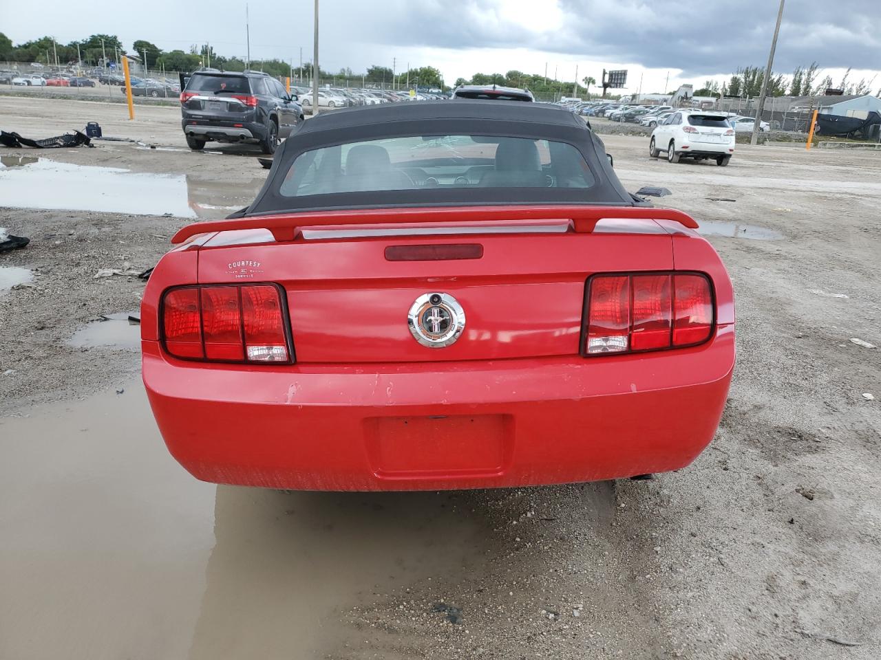 2005 Ford Mustang VIN: 1ZVFT84N655203553 Lot: 84264215