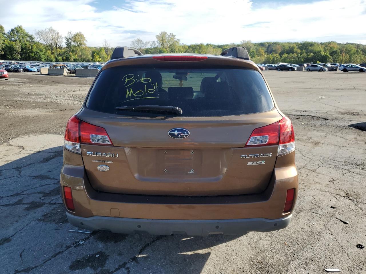 2013 Subaru Outback 2.5I Premium VIN: 4S4BRBCC2D3254566 Lot: 81861065