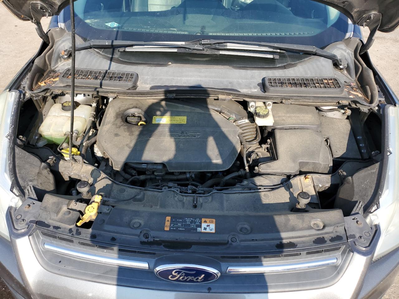 2014 Ford Escape Se VIN: 1FMCU0GX4EUA98224 Lot: 81268725