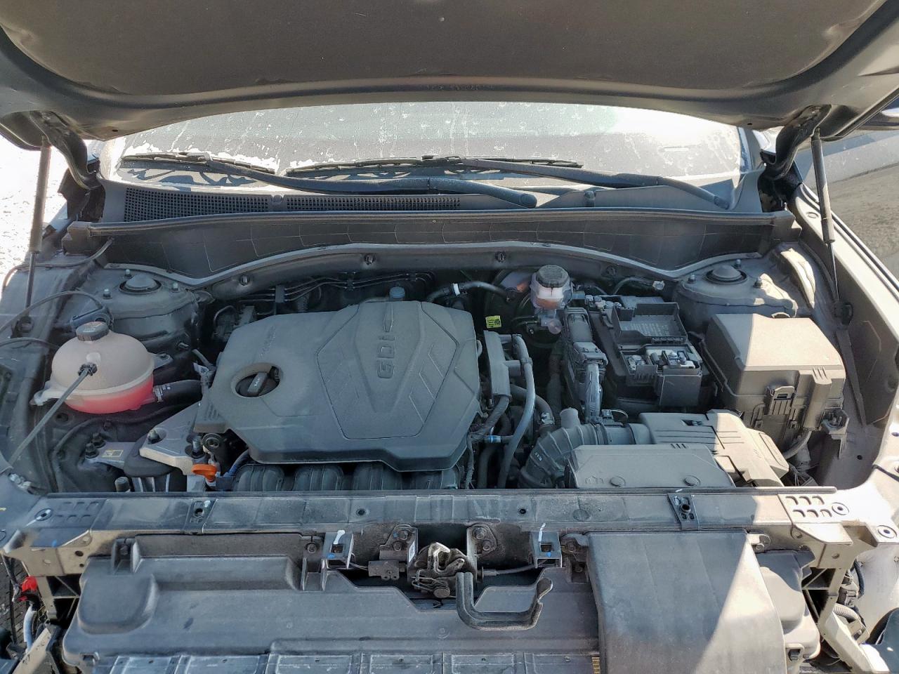 2023 Hyundai Santa Fe Sel VIN: 5NMS2DAJ1PH491870 Lot: 80481795