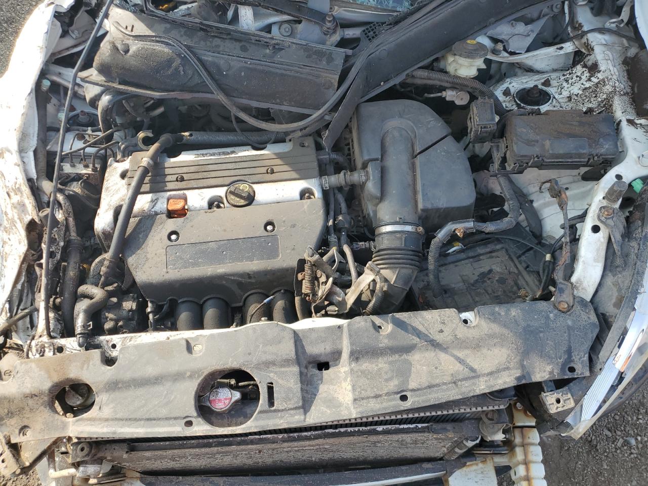 2005 Honda Cr-V Ex VIN: JHLRD78895C041637 Lot: 81104055