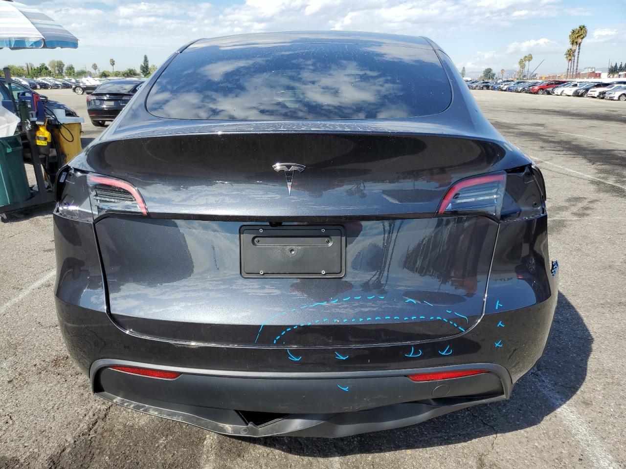 2025 Tesla Model Y VIN: 7SAYGDED6SF316141 Lot: 81615715