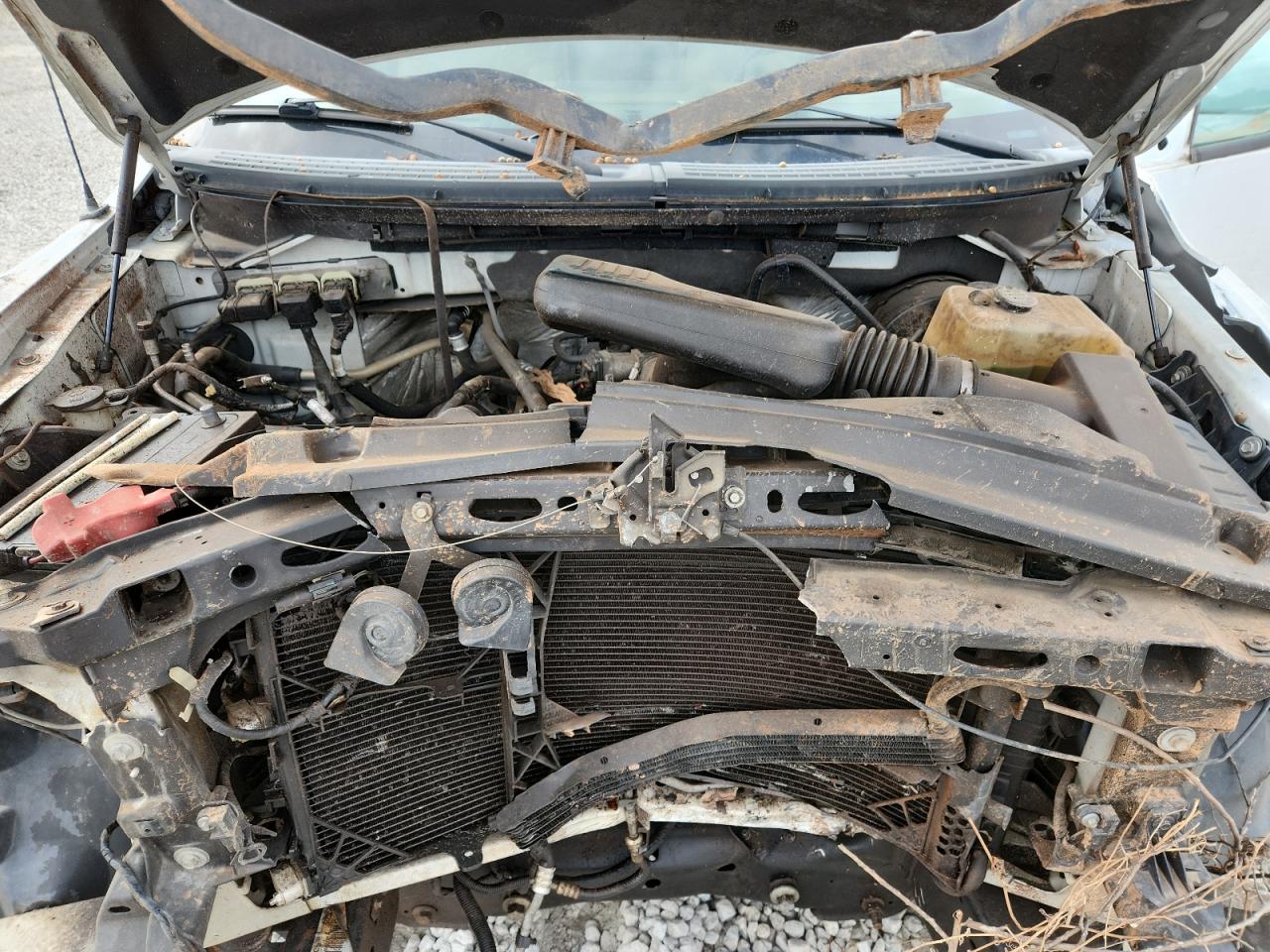 2009 Ford F150 VIN: 1FTRF12W39KA89917 Lot: 84557005