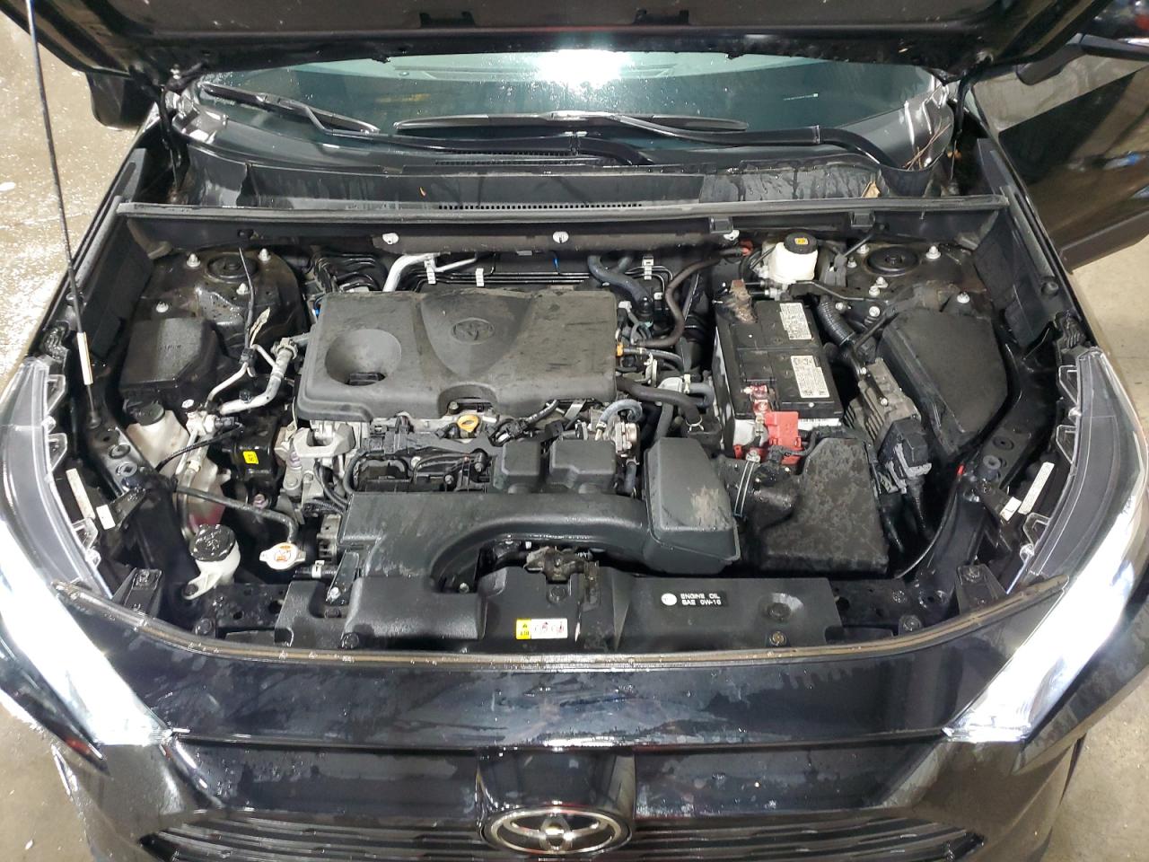 2022 Toyota Rav4 Xle VIN: 2T3P1RFV5NW312501 Lot: 81441905