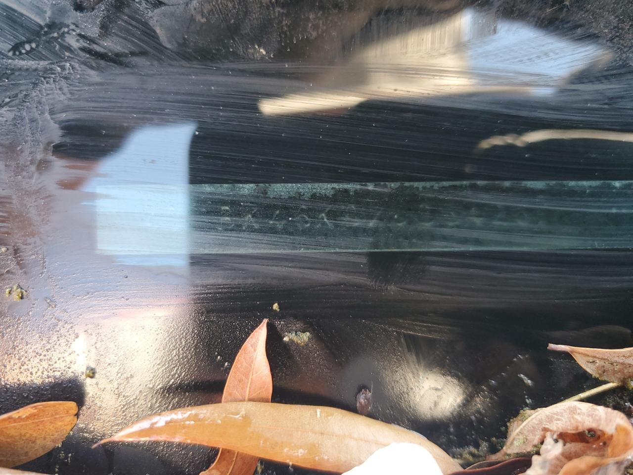 2007 Toyota Camry Le VIN: 4T1BK46K97U054267 Lot: 81526375