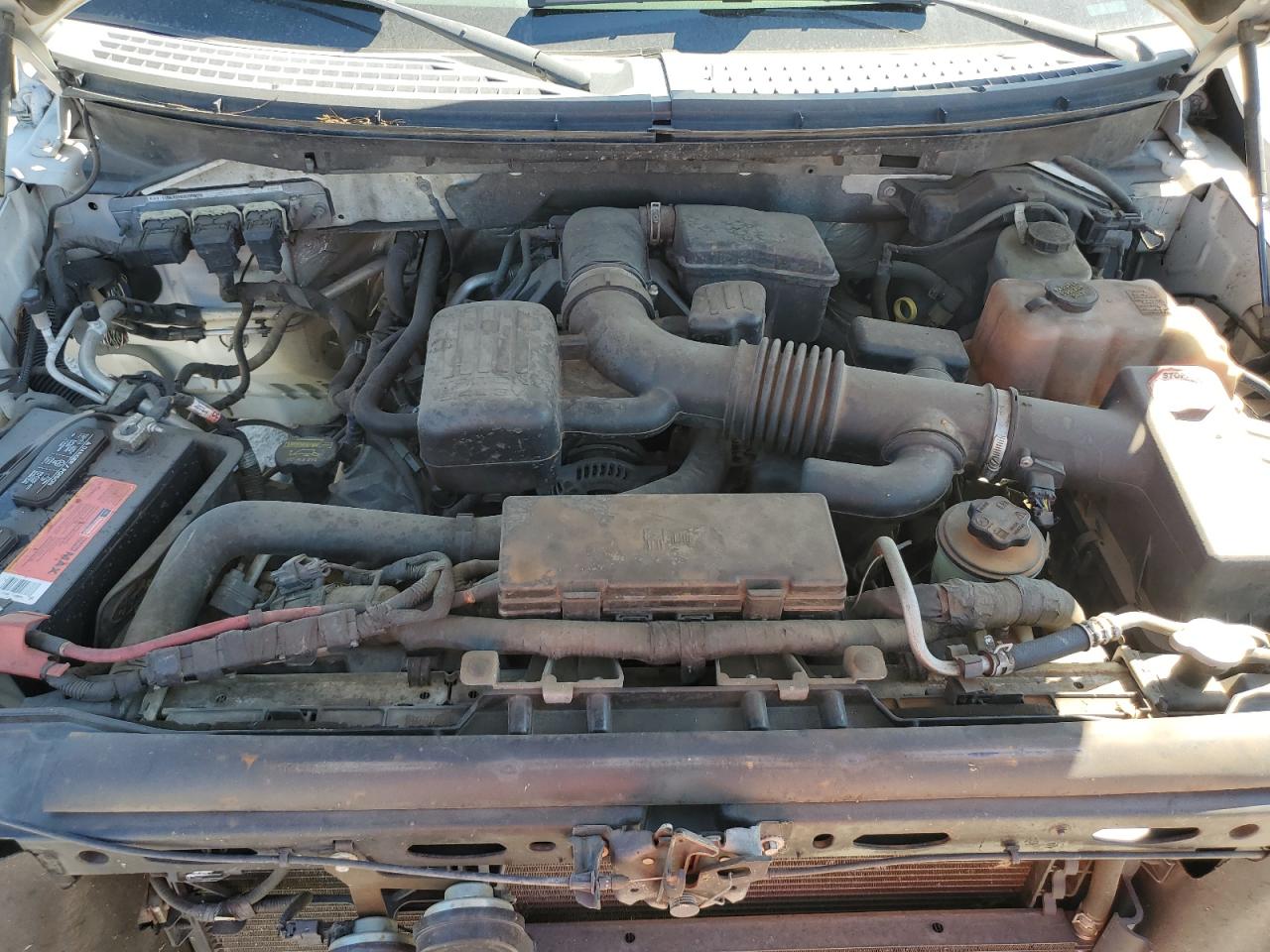 2010 Ford F150 Supercrew VIN: 1FTFW1EV4AFB34690 Lot: 69813005