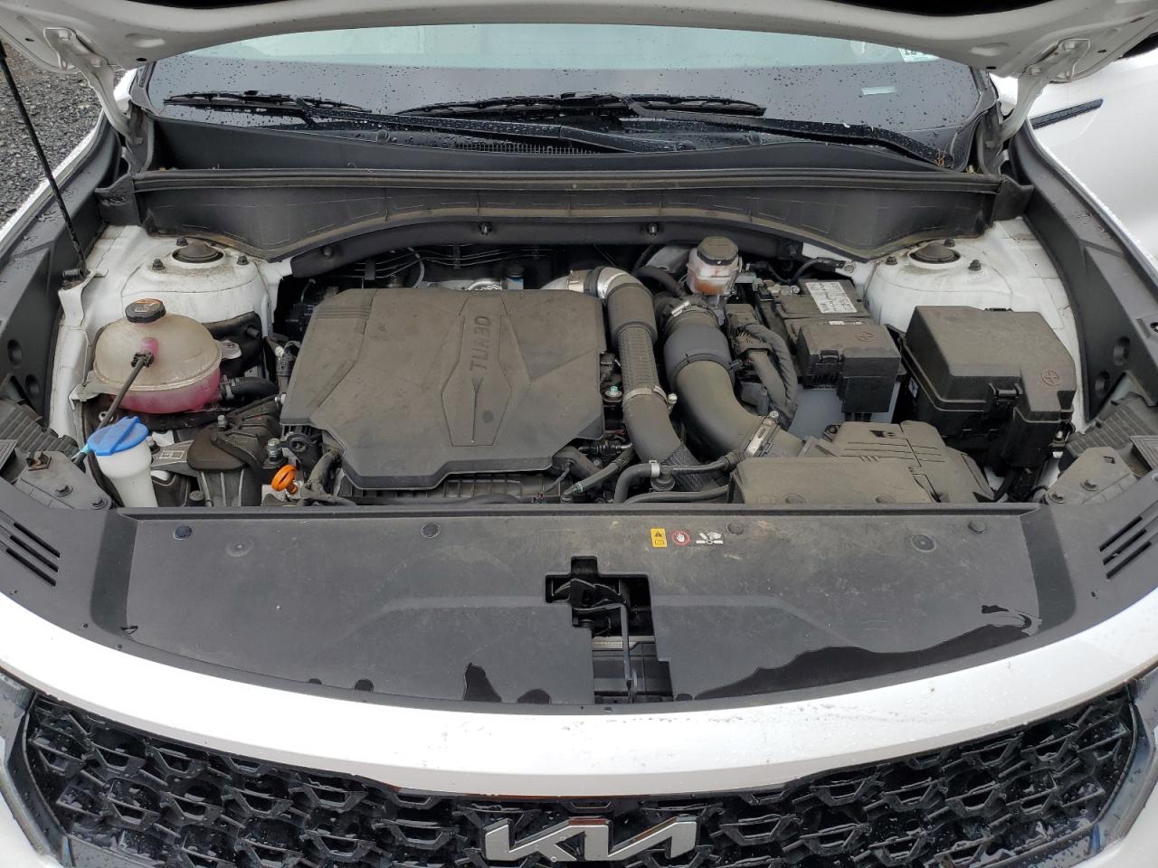 2023 Kia Sorento Sx VIN: 5XYRK4LF4PG172089 Lot: 84249675